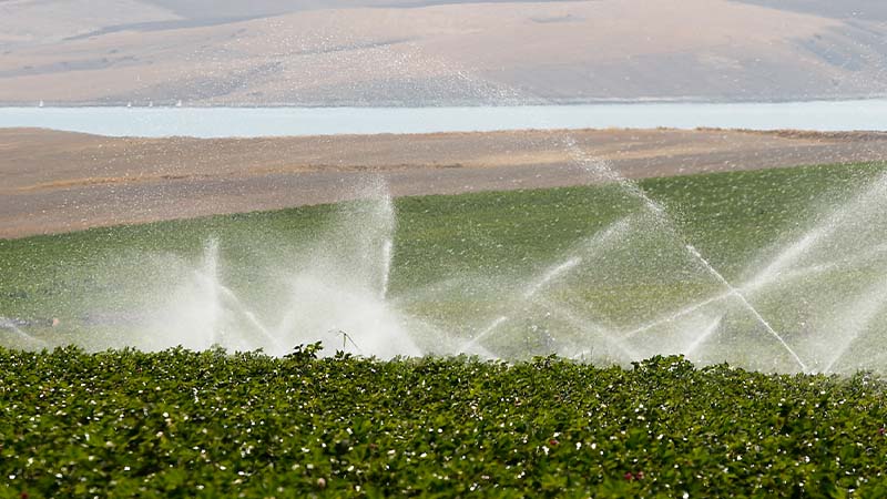 Projet d'irrigation par pompage de Bozova